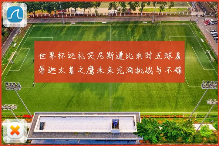 世界杯巡礼突尼斯遭比利时五球羞辱迦太基之鹰未来充满挑战与不确定性